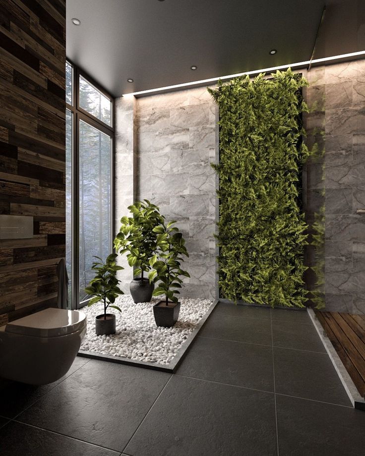 Plants In Bathroom